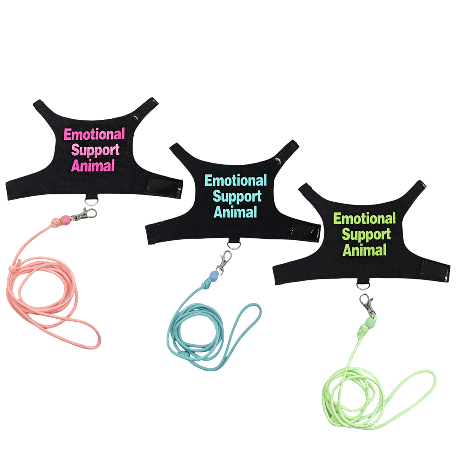 Lizard Harness & Leash Set