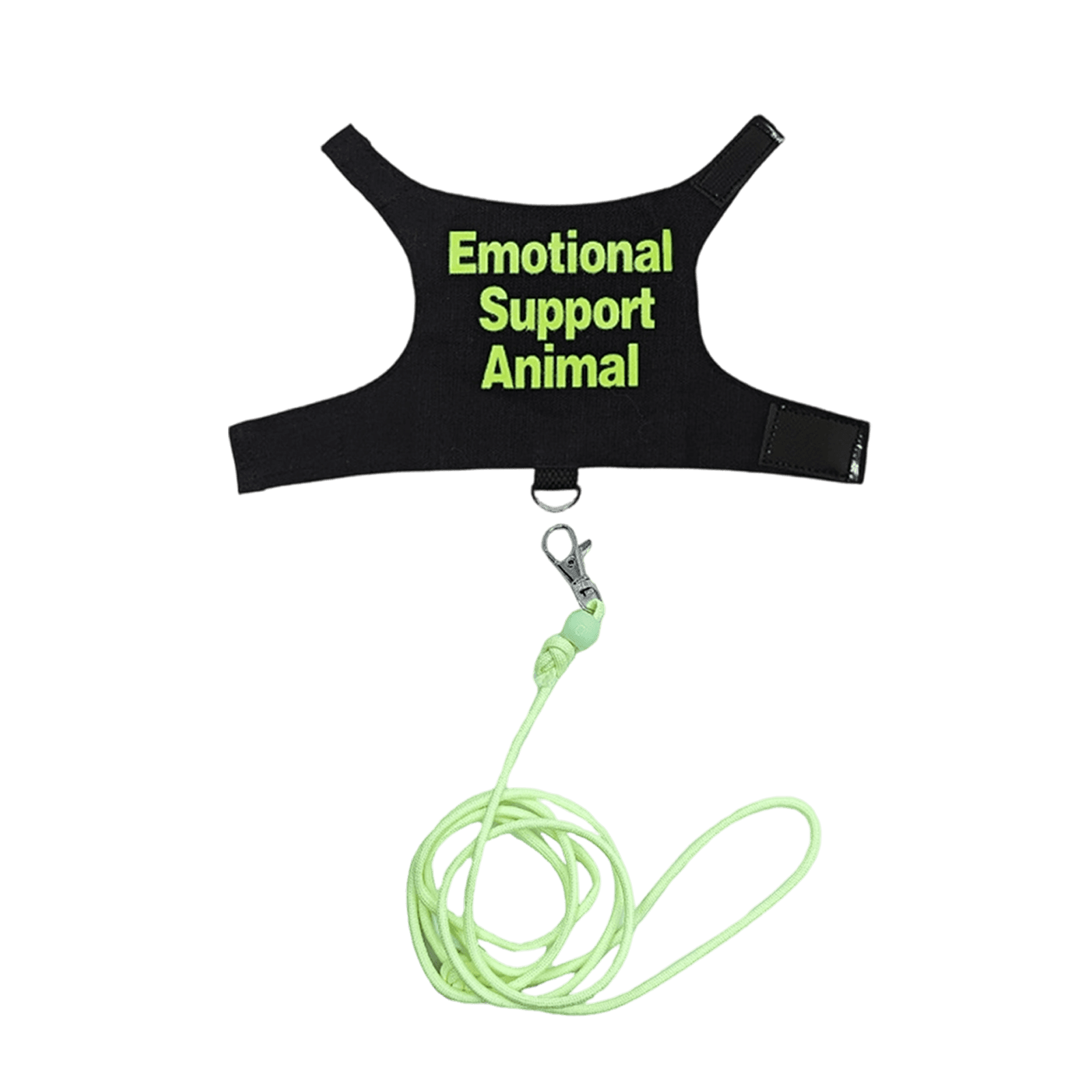 Lizard Harness & Leash Set