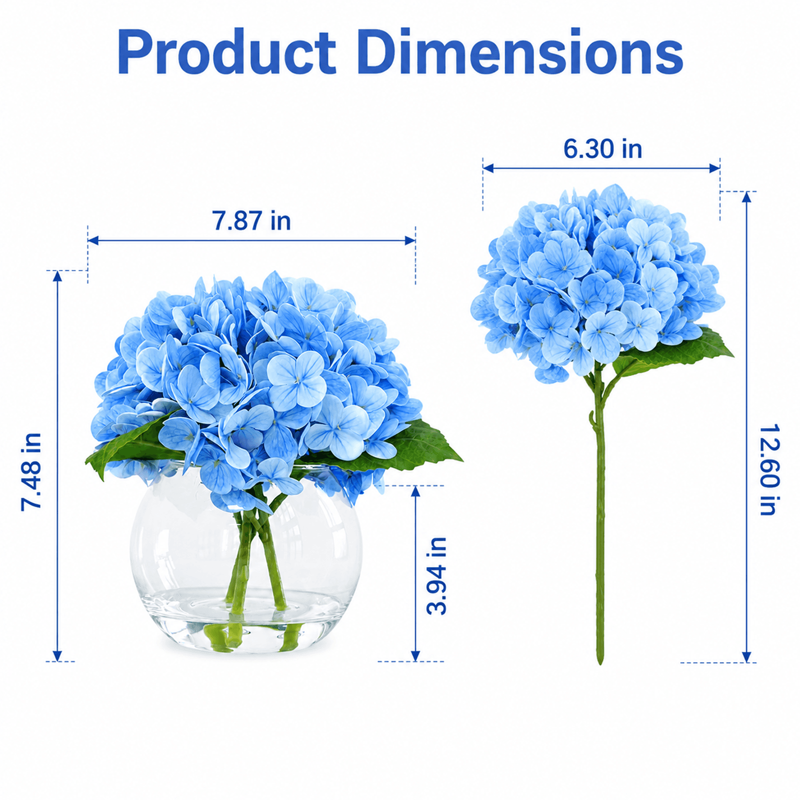 Size Image
