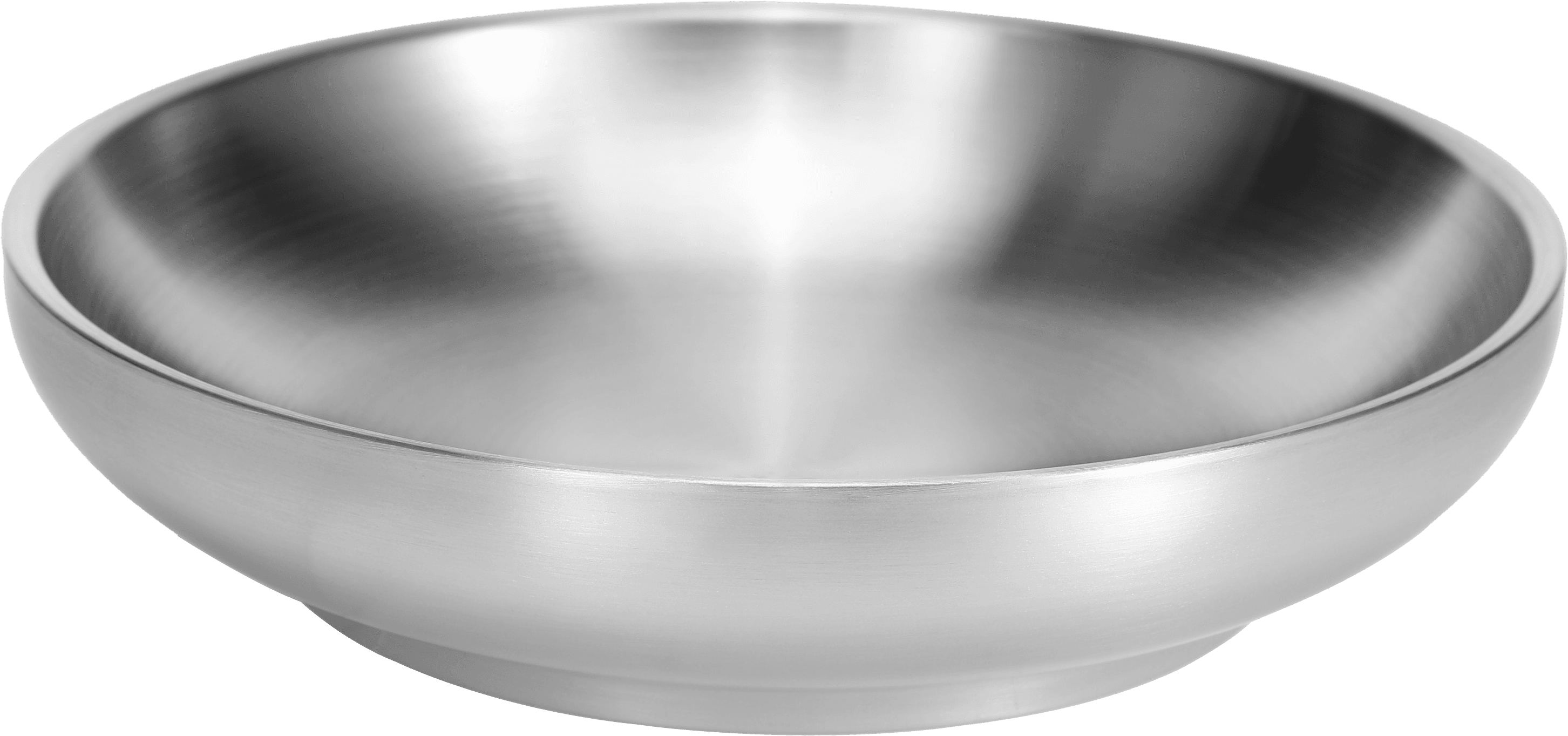 Premium Double-Walled Stainless Steel Dinner Plates