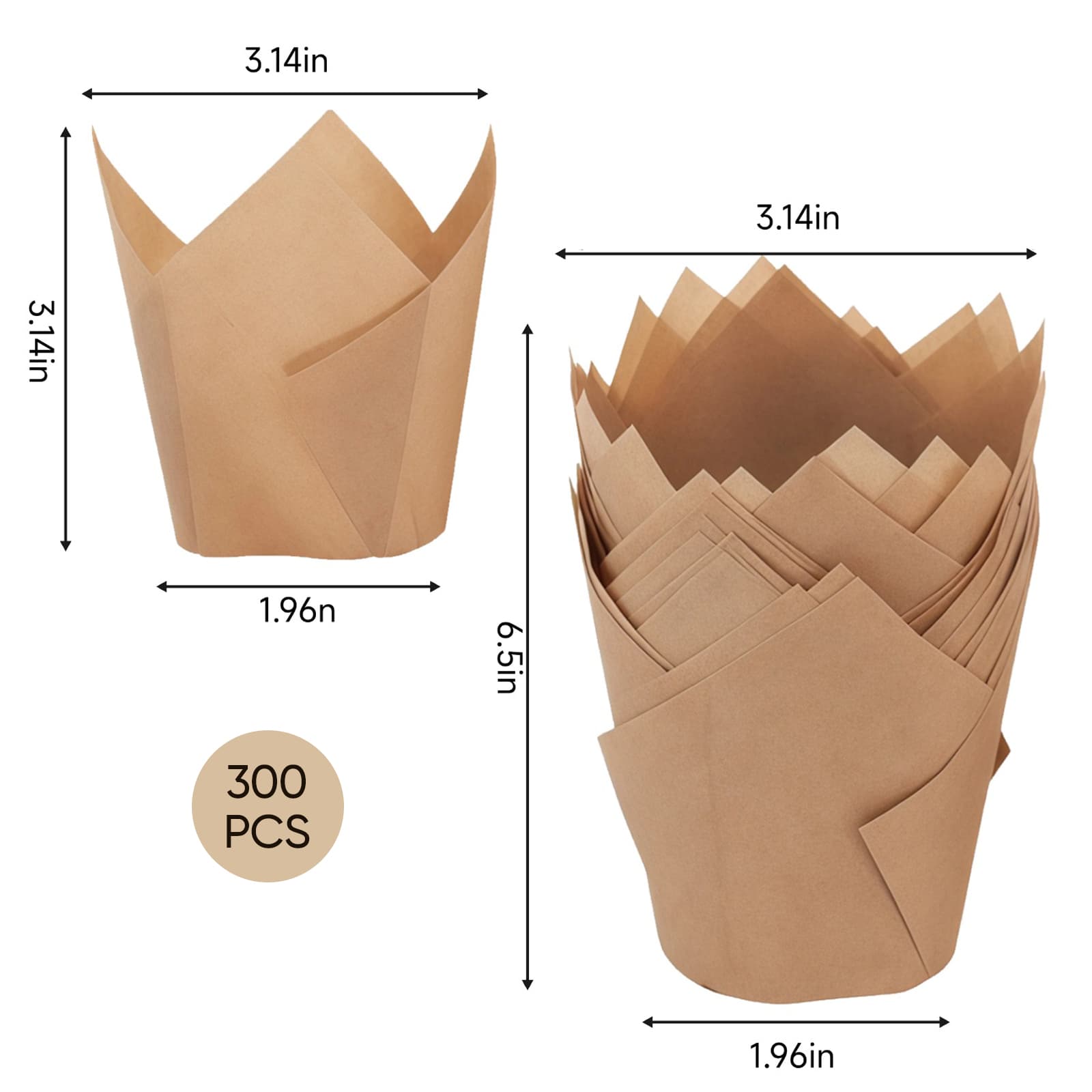 Size Image