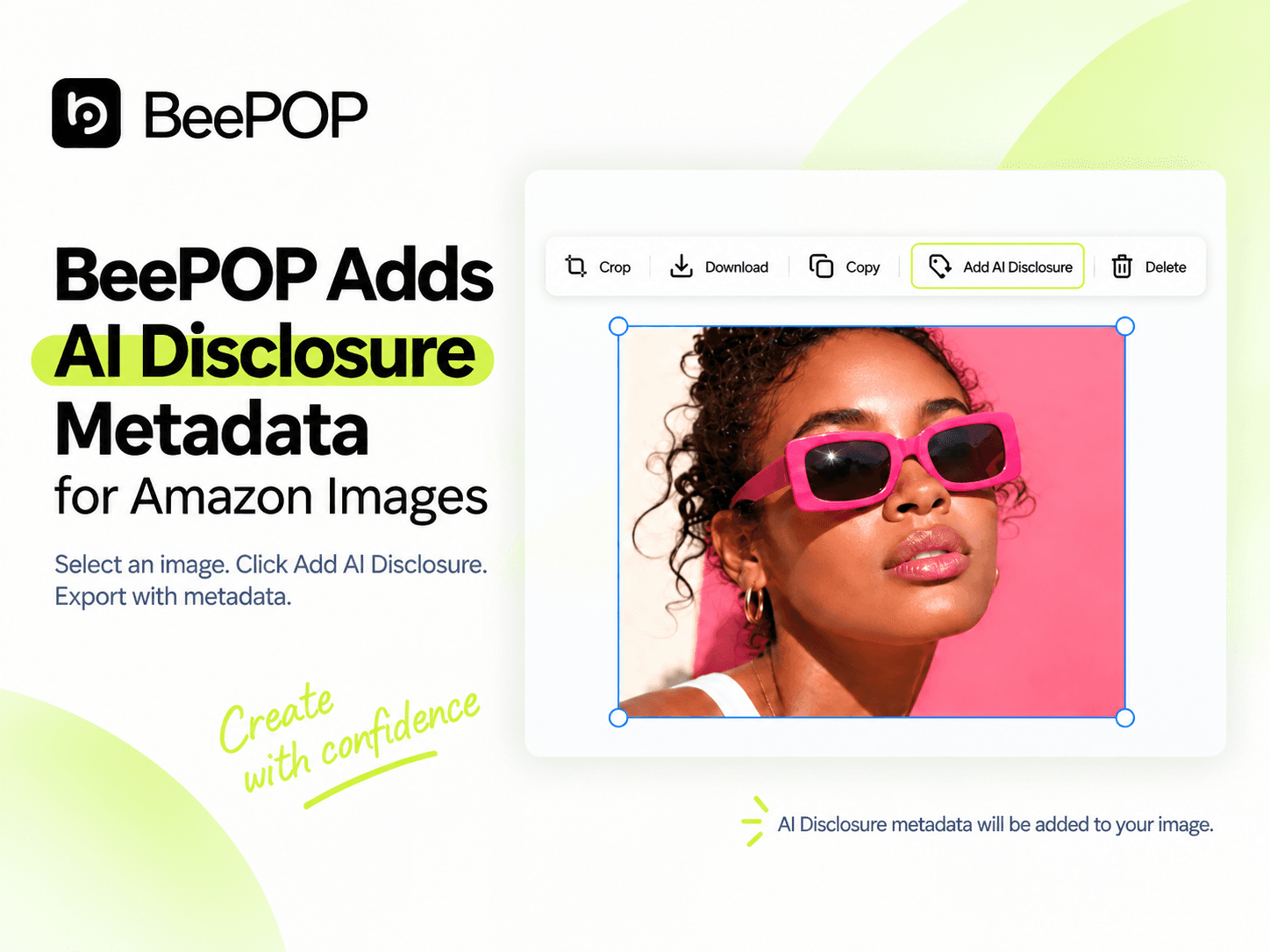 AI Disclosure 