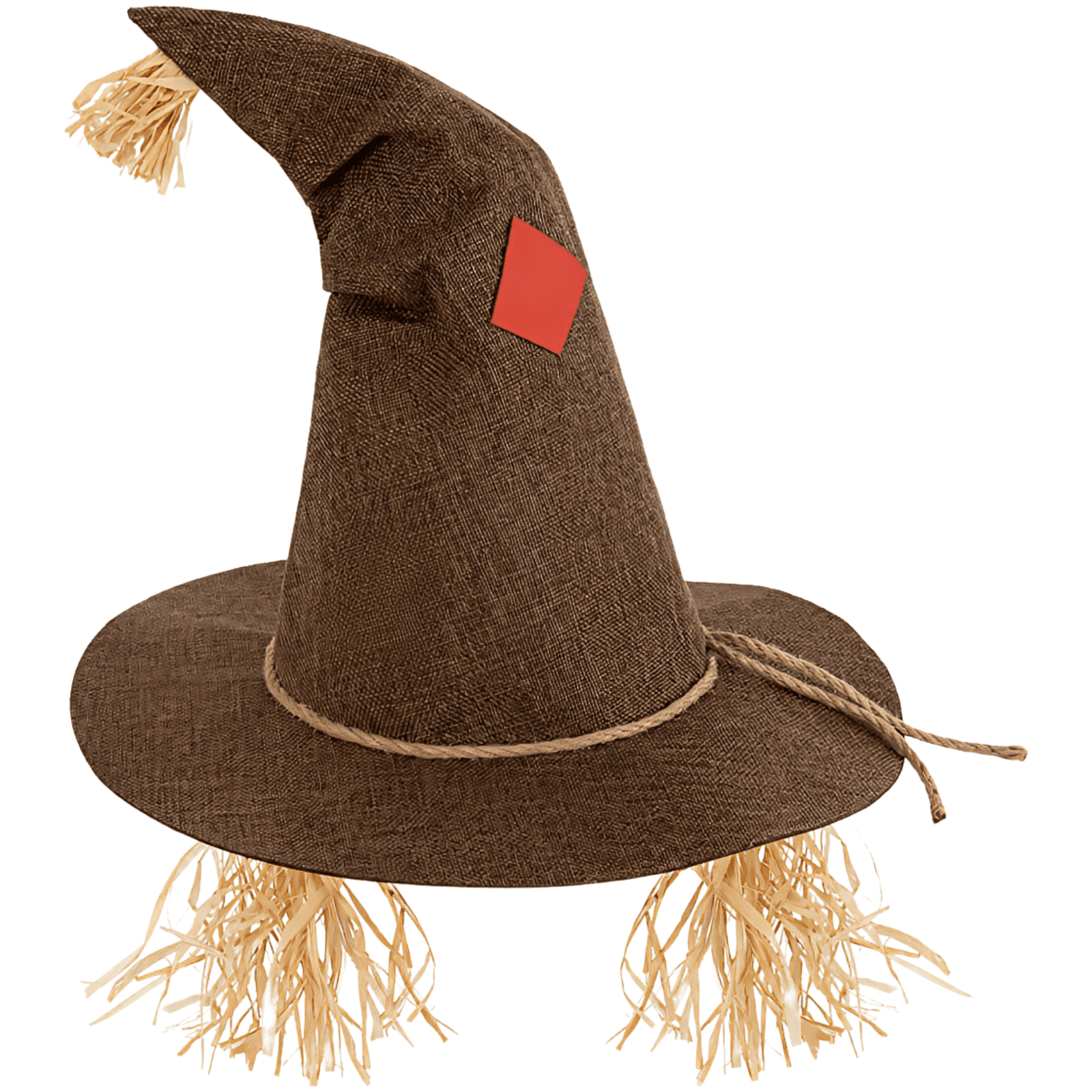 Rustic Scarecrow Witch Hat