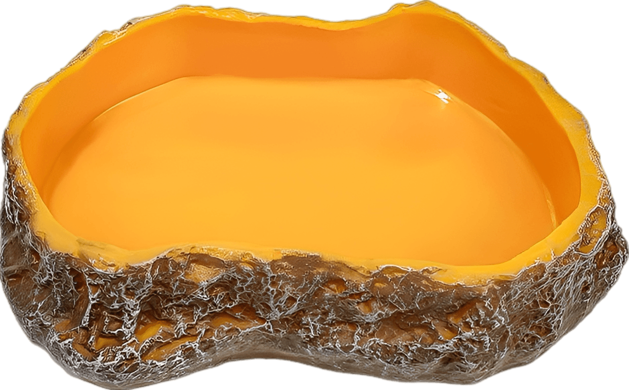 Natural Rock Style Reptile Bowl