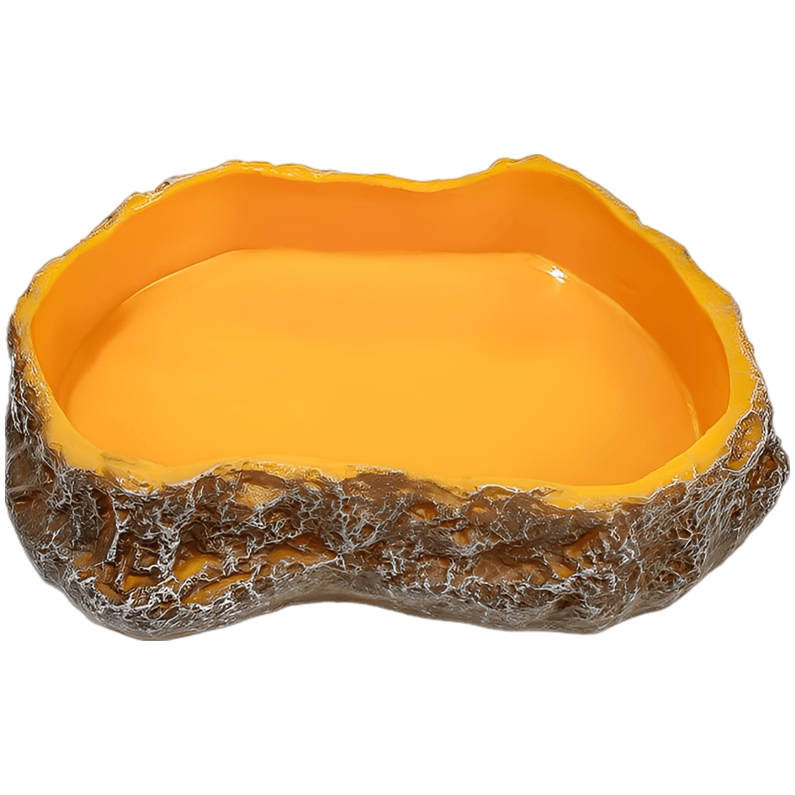 Natural Rock Style Reptile Bowl