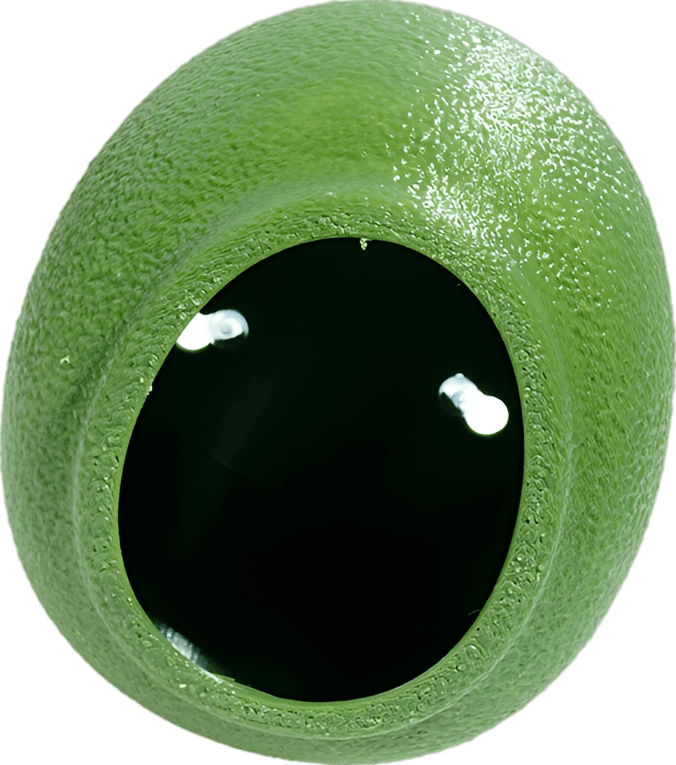 Egg-Shaped Crested Gecko Hide