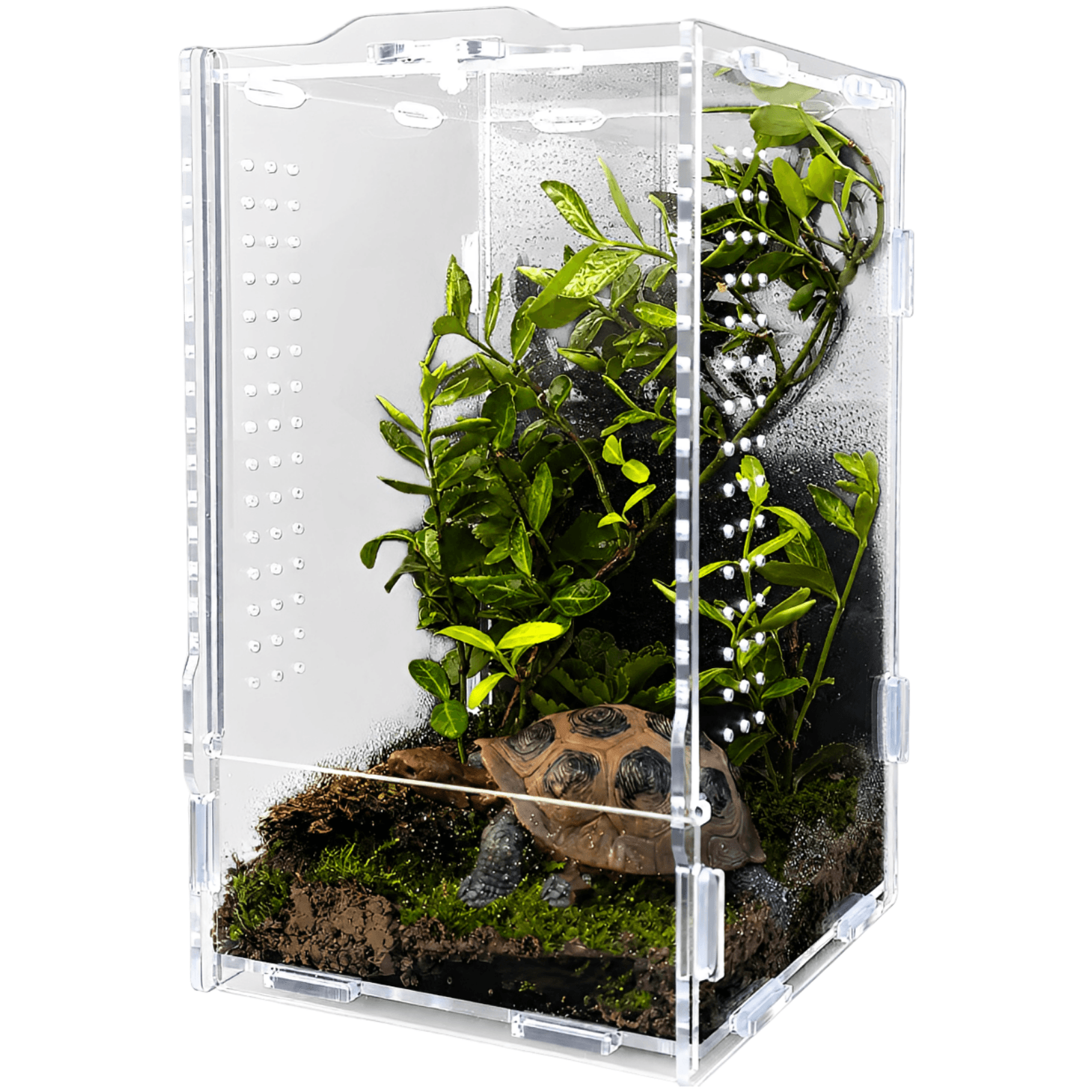 Premium Acrylic Jumping Spider Enclosure