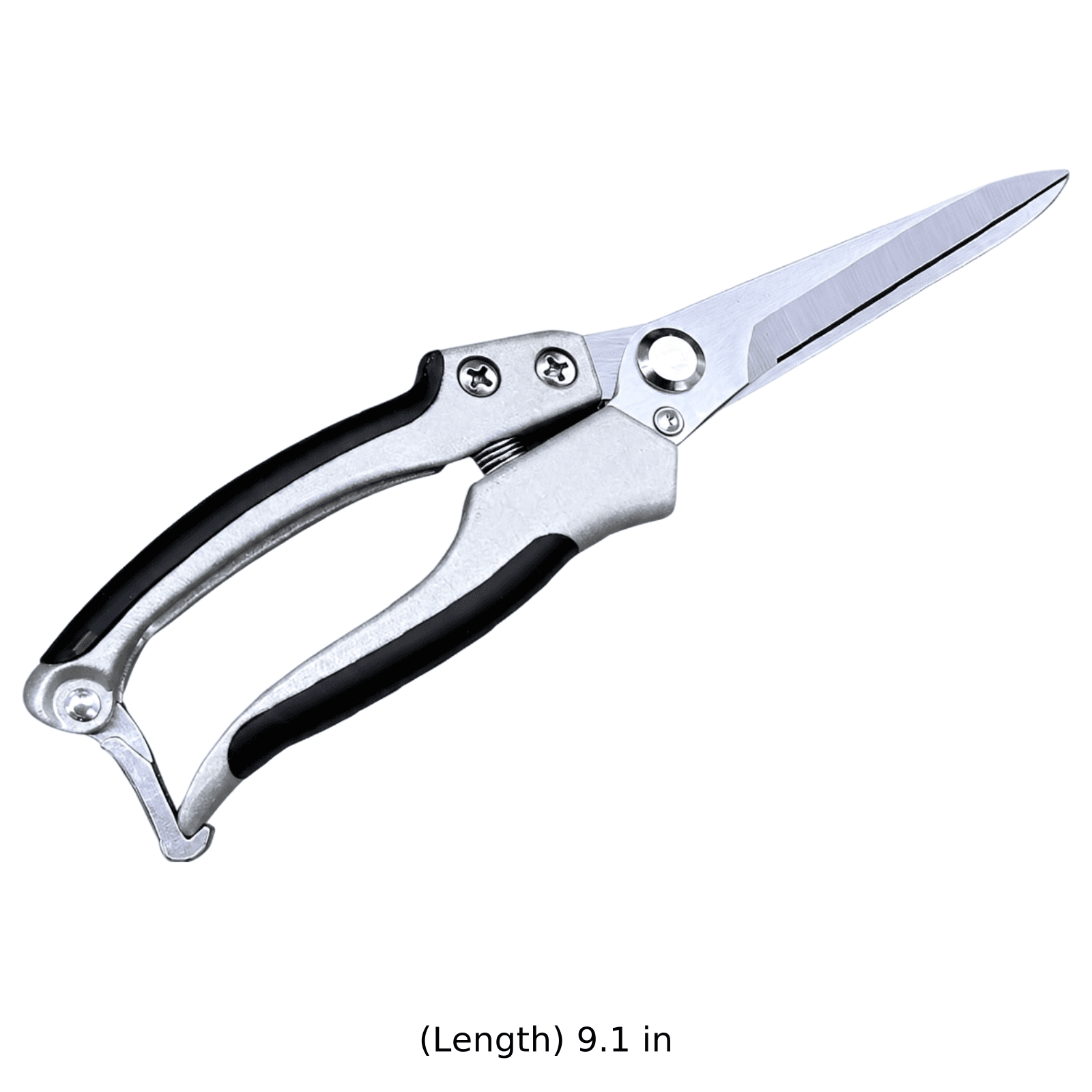 Size Image