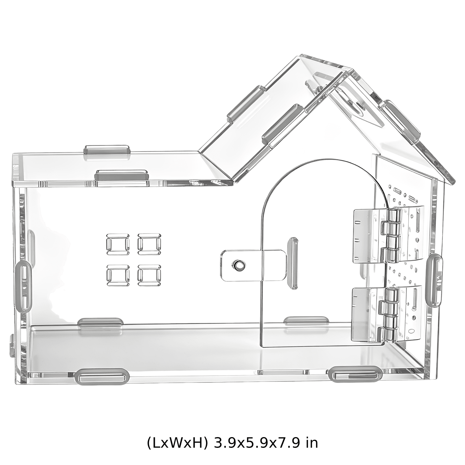 Size Image