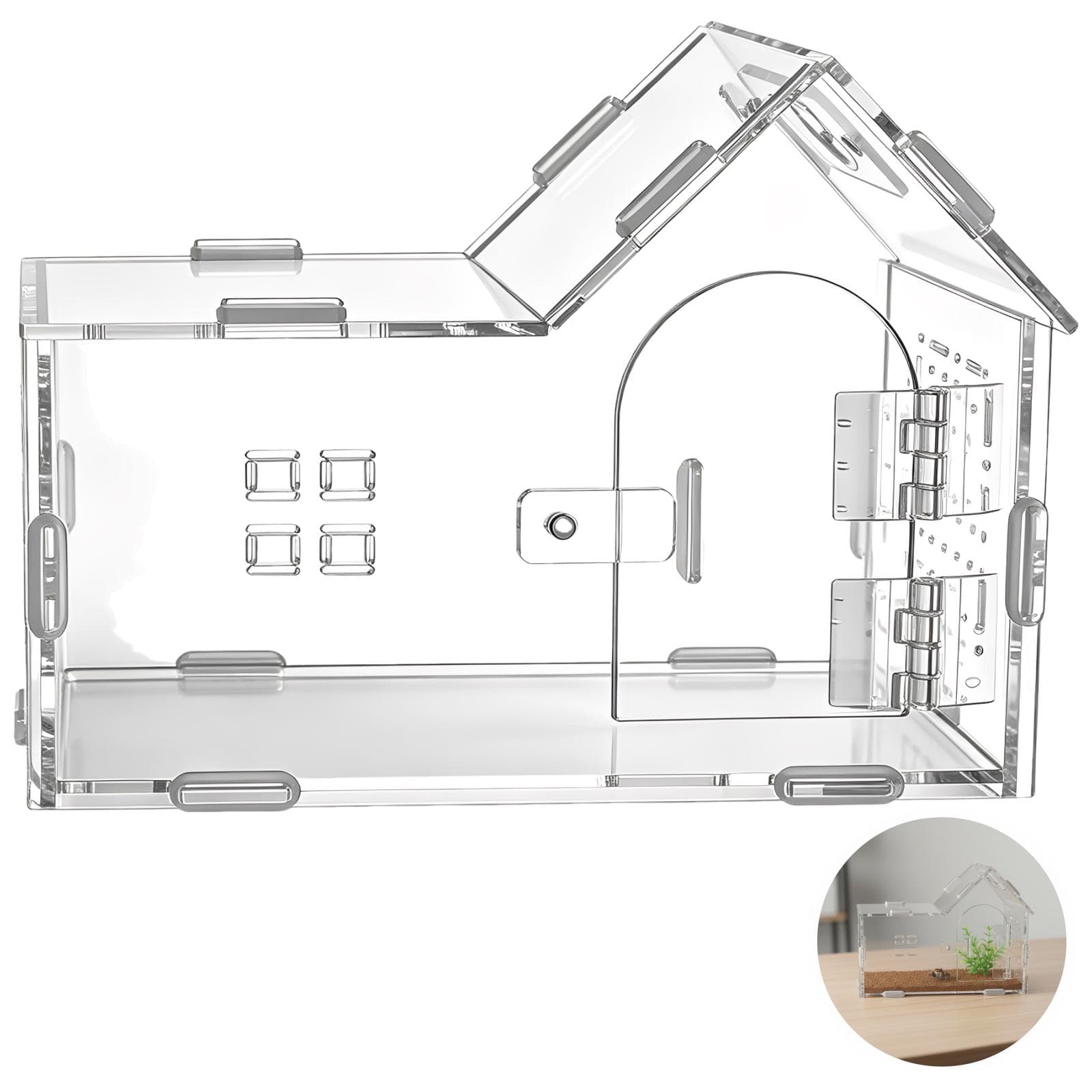 Large Acrylic Jumping Spider Enclosure