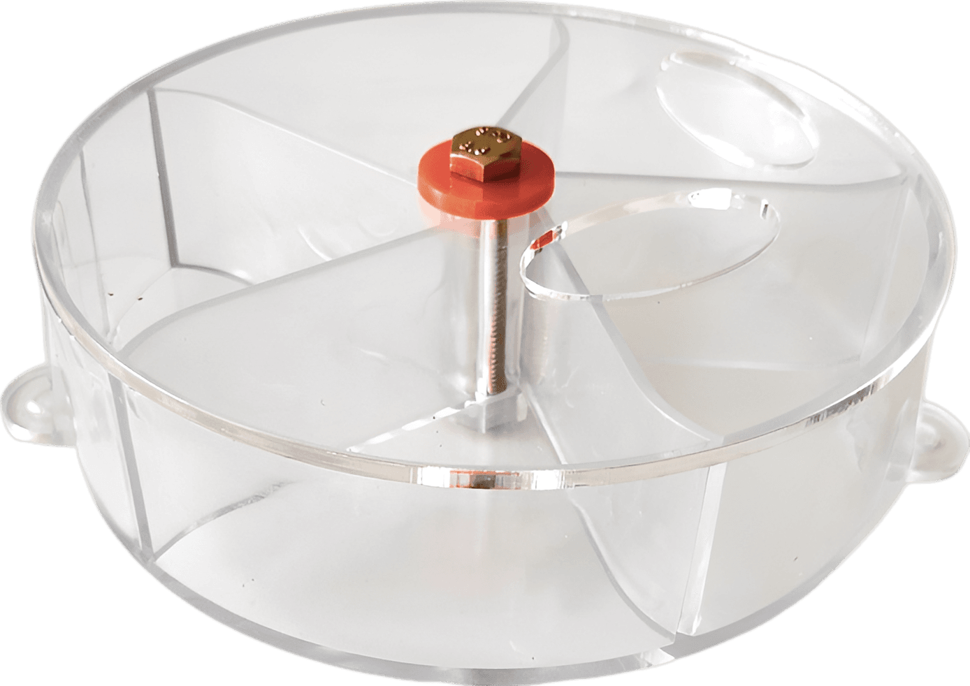 Bird Creative Foraging System