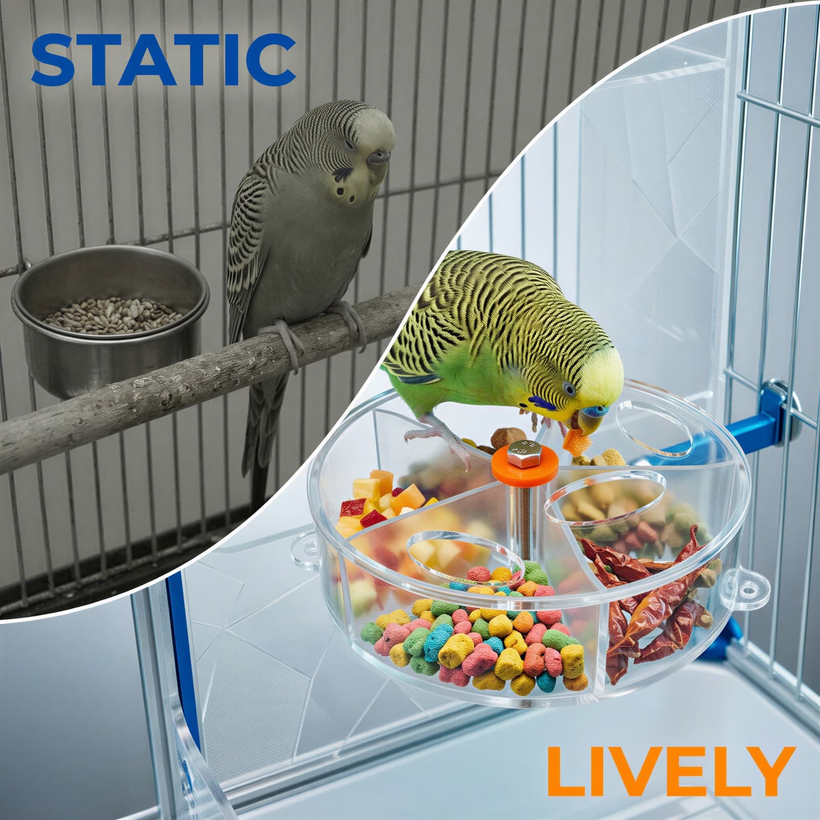Comparison Image