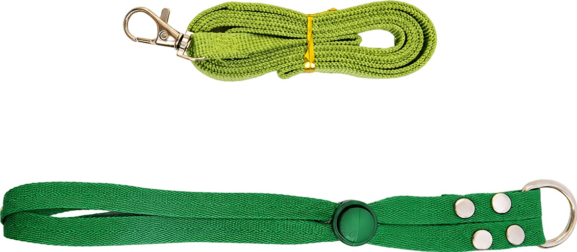 Small Animal Harness & Leash Set
