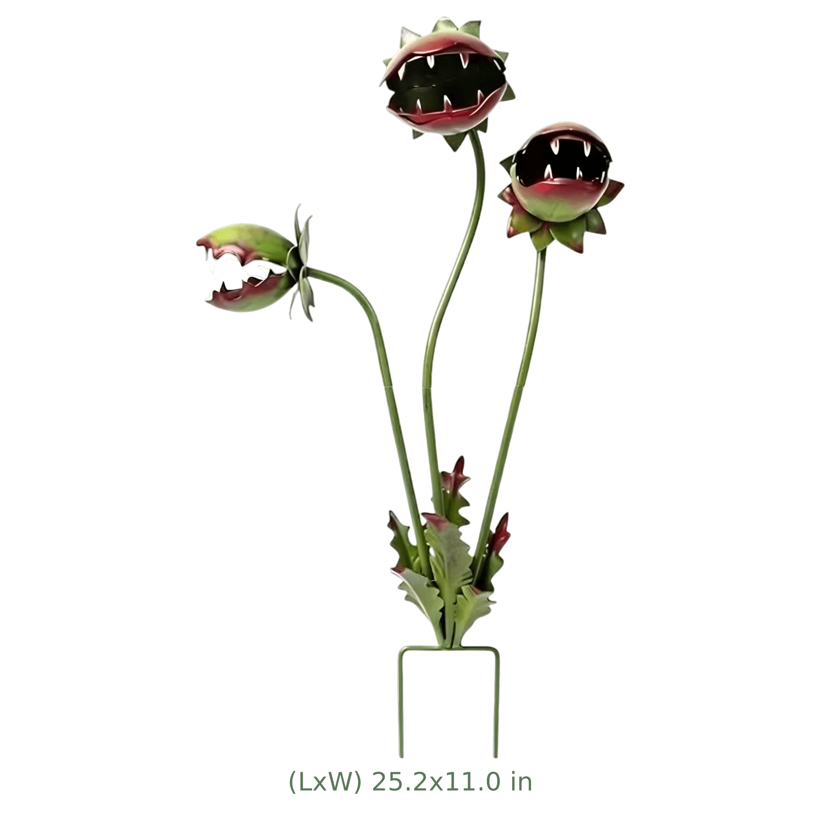 Size Image