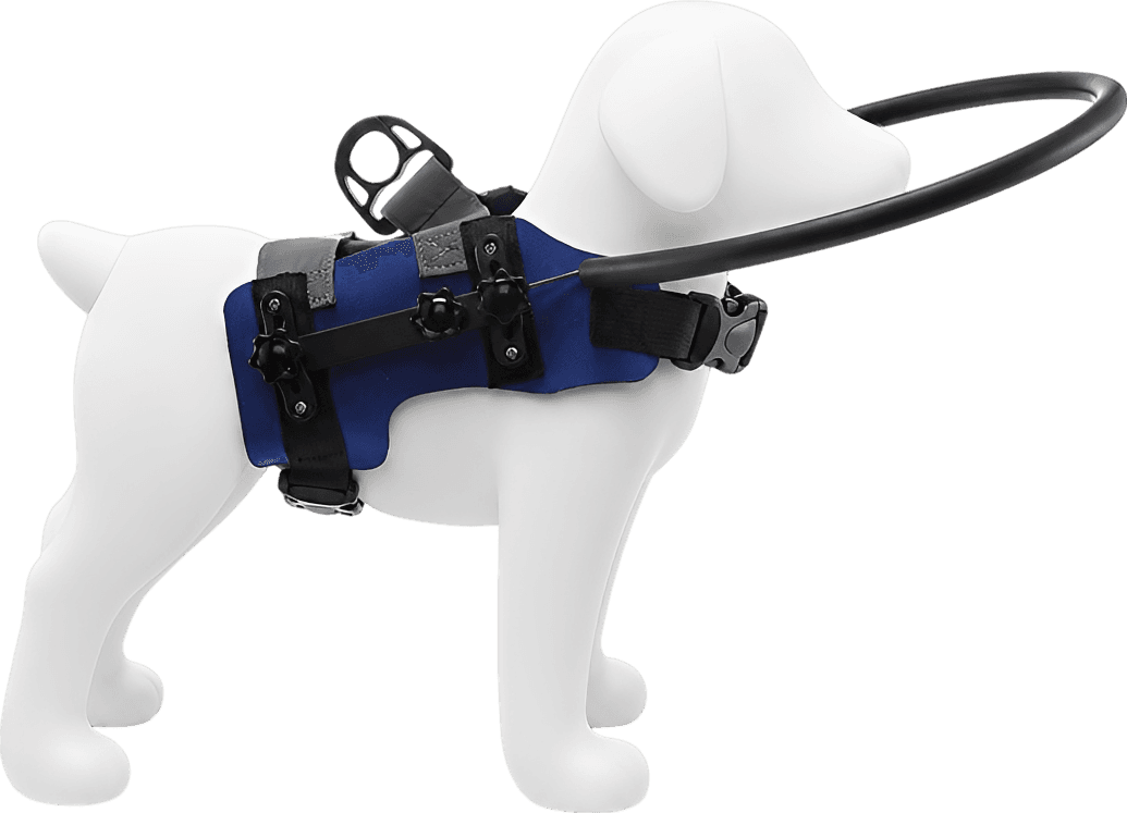 Bumper Ring Harness for Blind Dogs