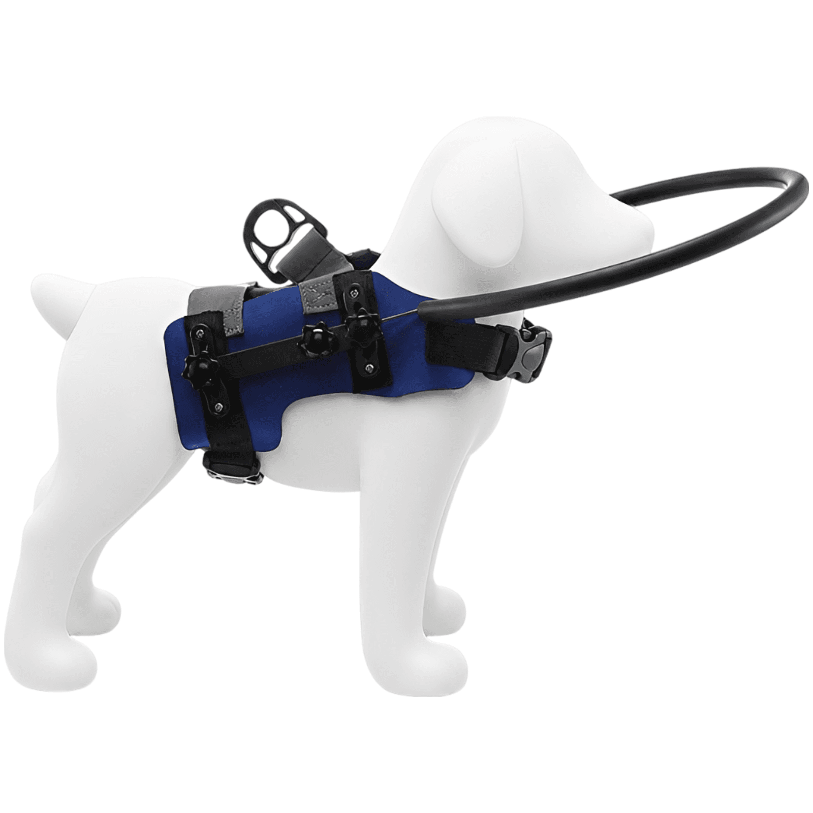 Bumper Ring Harness for Blind Dogs