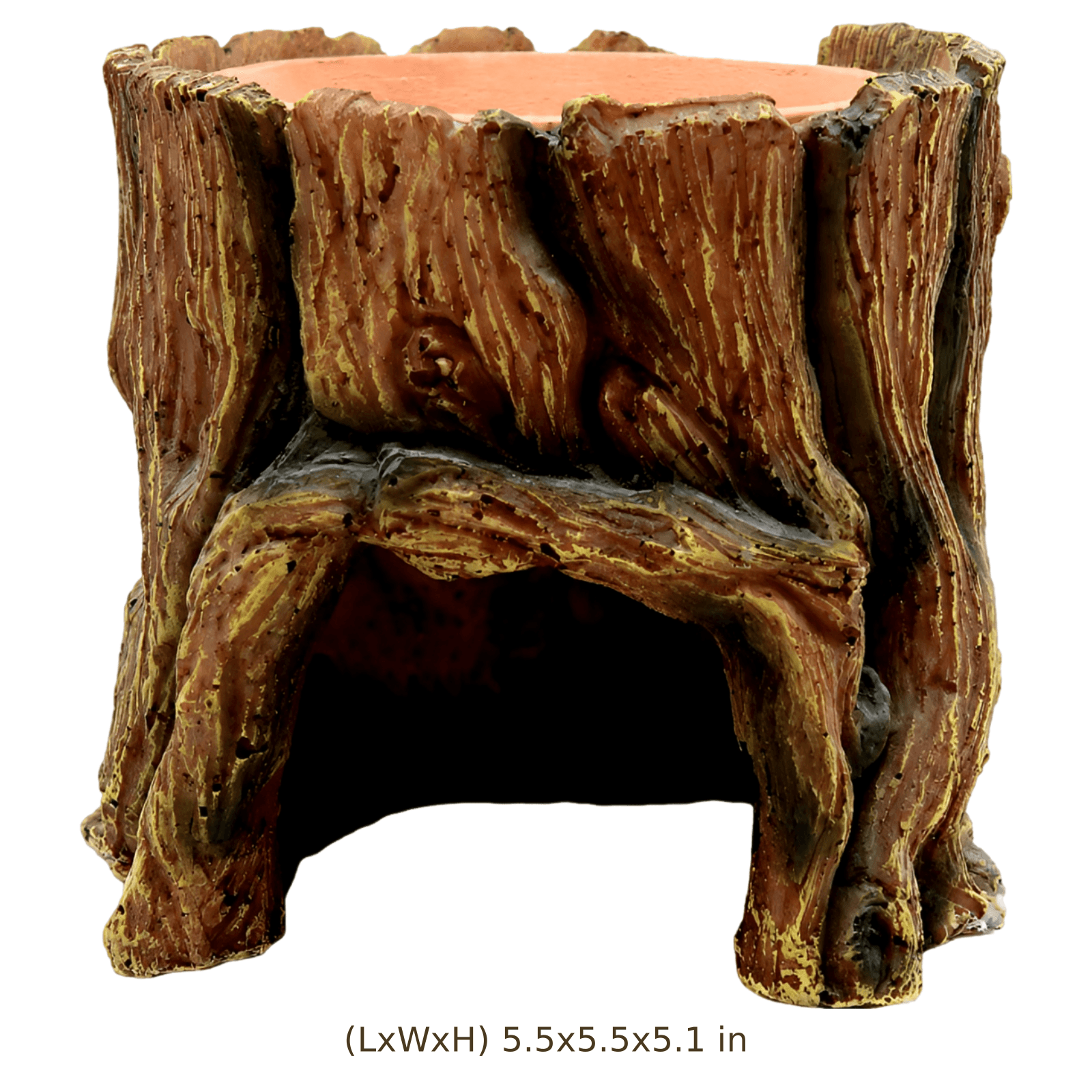 Size Image