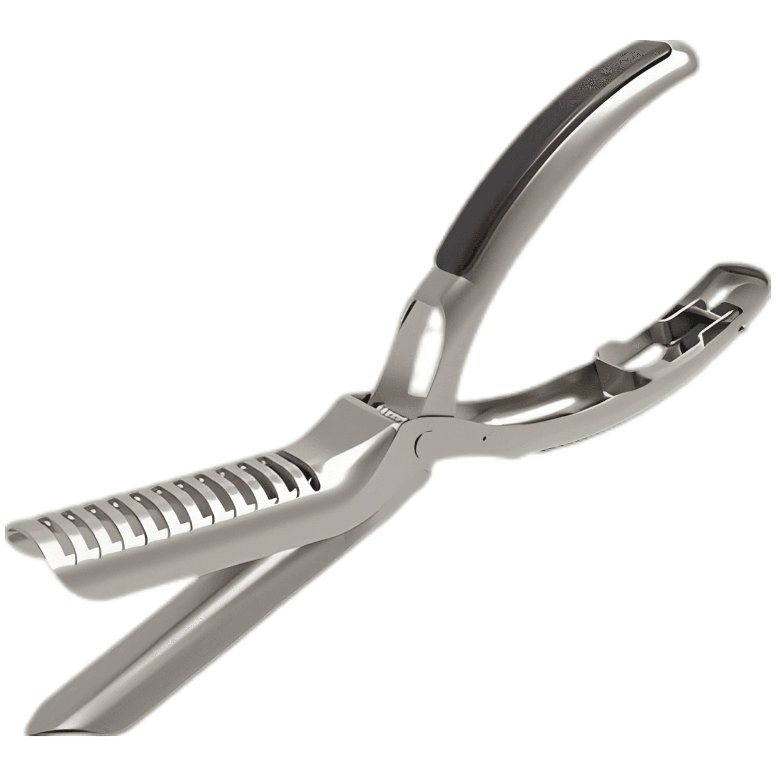 Rib Membrane Remover