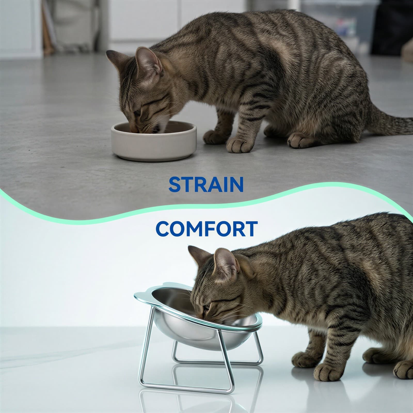 Comparison Image