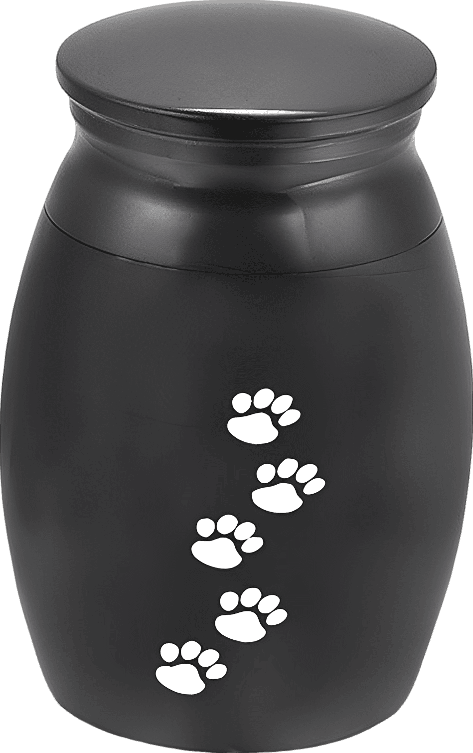 Elegant Mini Pet Urn Keepsake