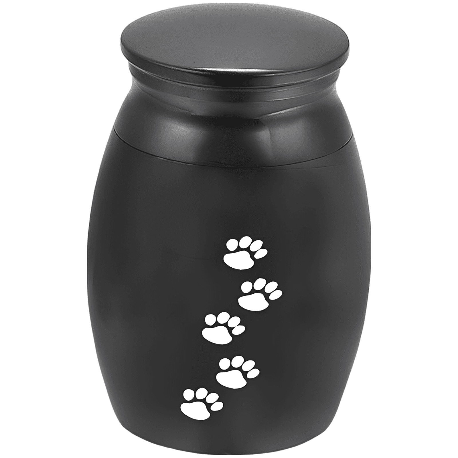Elegant Mini Pet Urn Keepsake