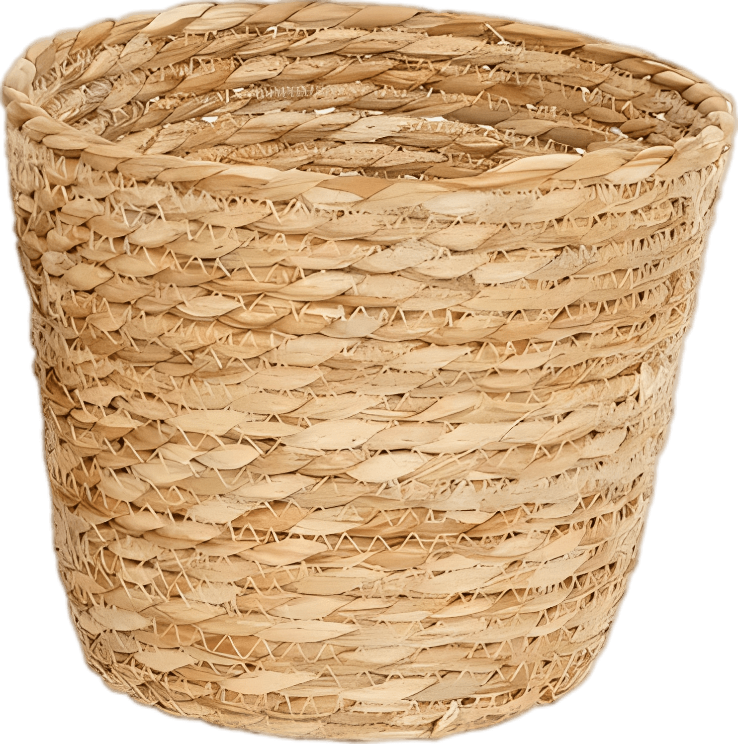 Natural Seagrass Woven Plant Baskets
