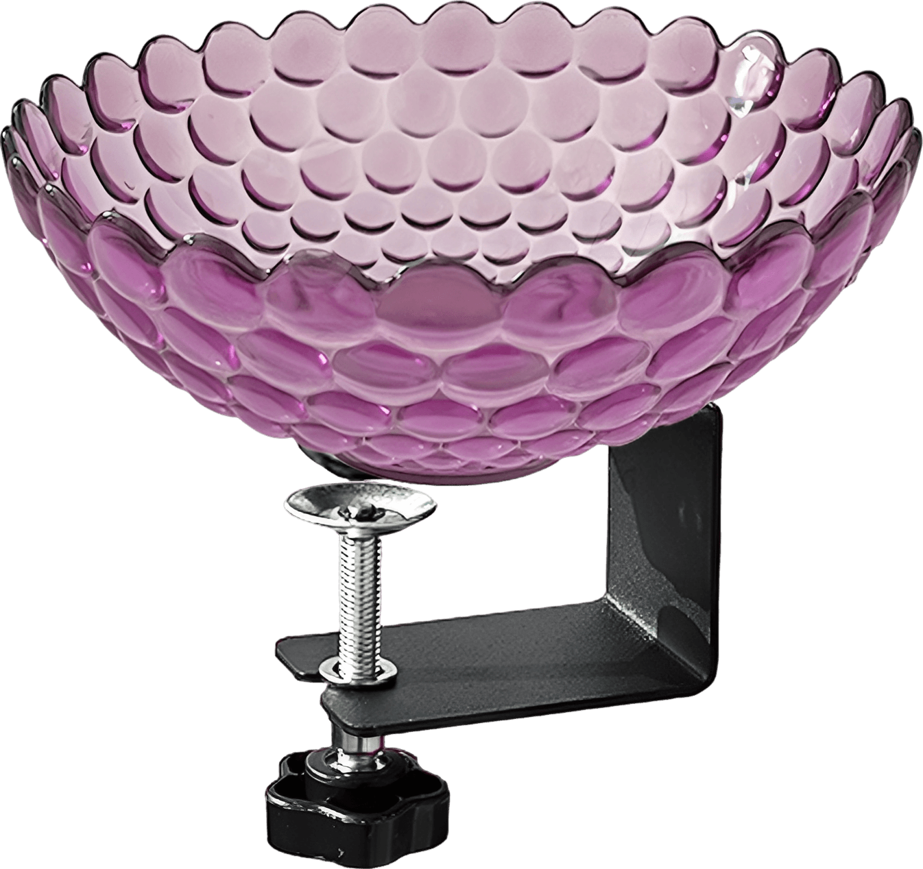 Clamped Bird Bath Bowl