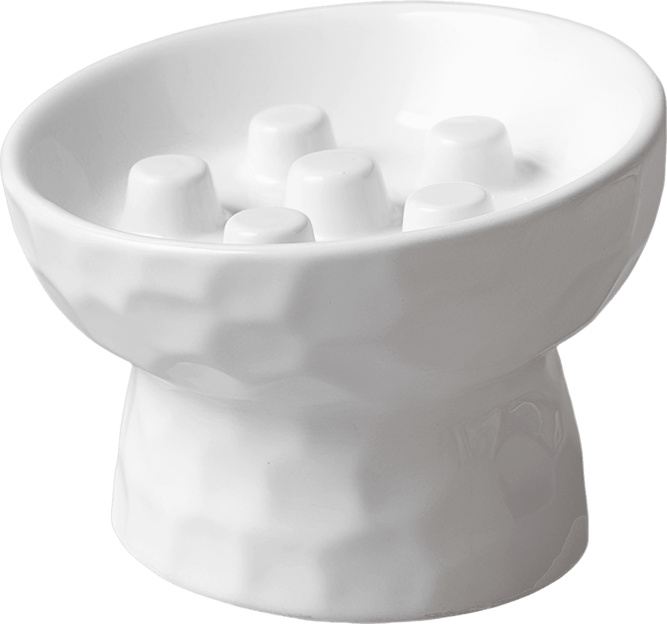 Ceramic Slanted Slow Feeder Cat Bowl