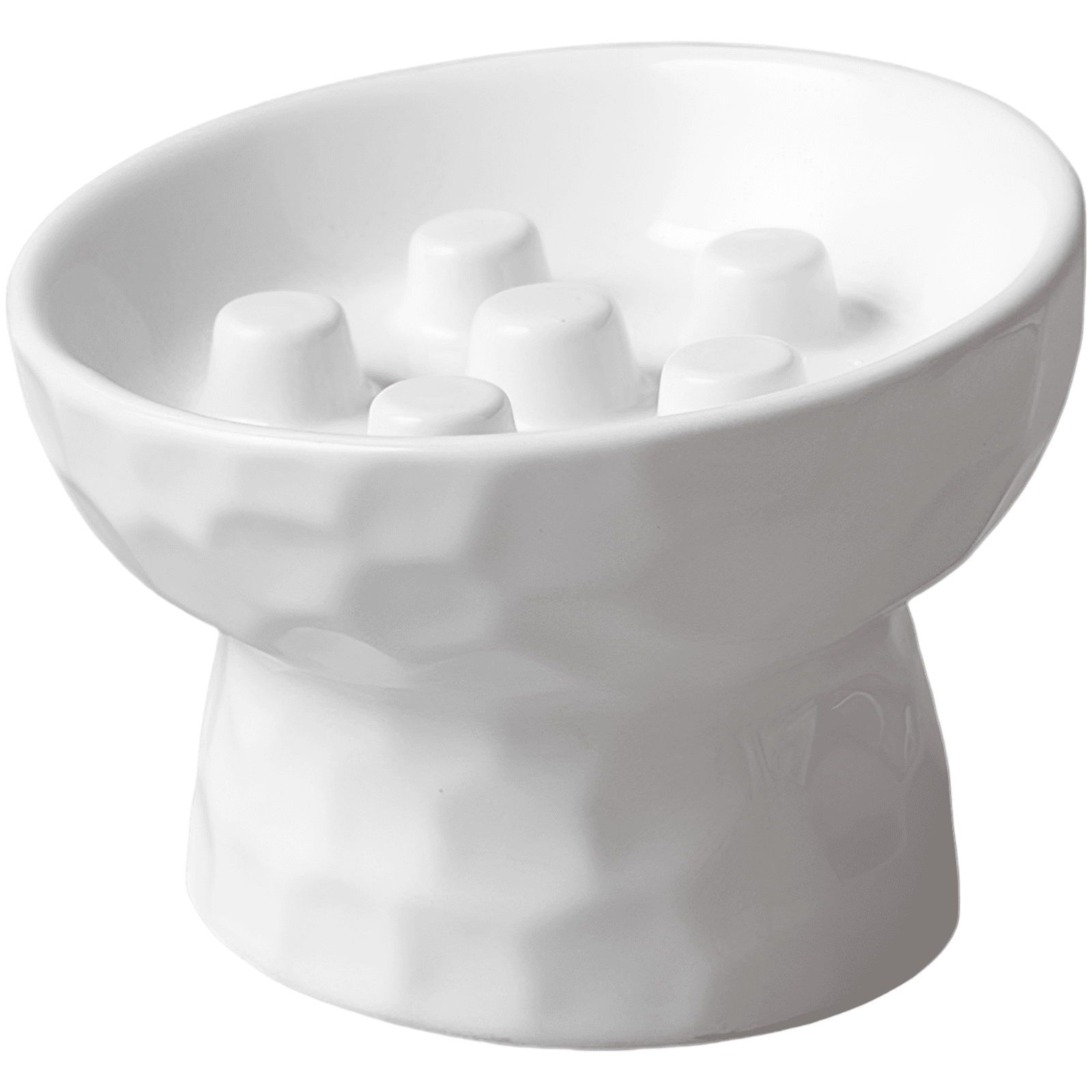 Ceramic Slanted Slow Feeder Cat Bowl