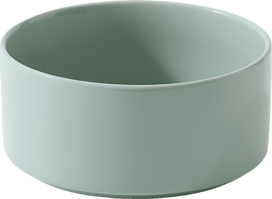 Elevated Ceramic Cat Bowl