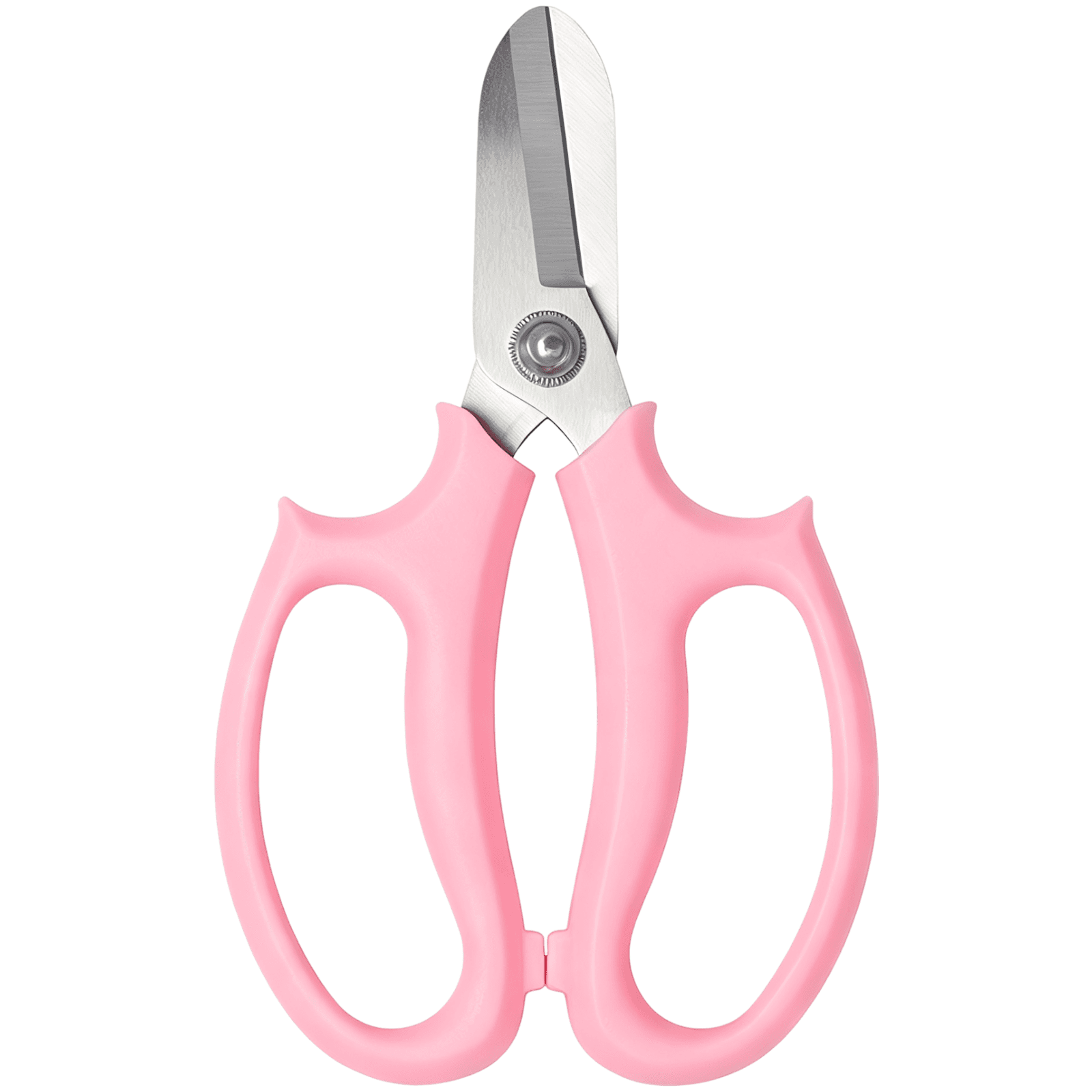 Professional Floral Scissors