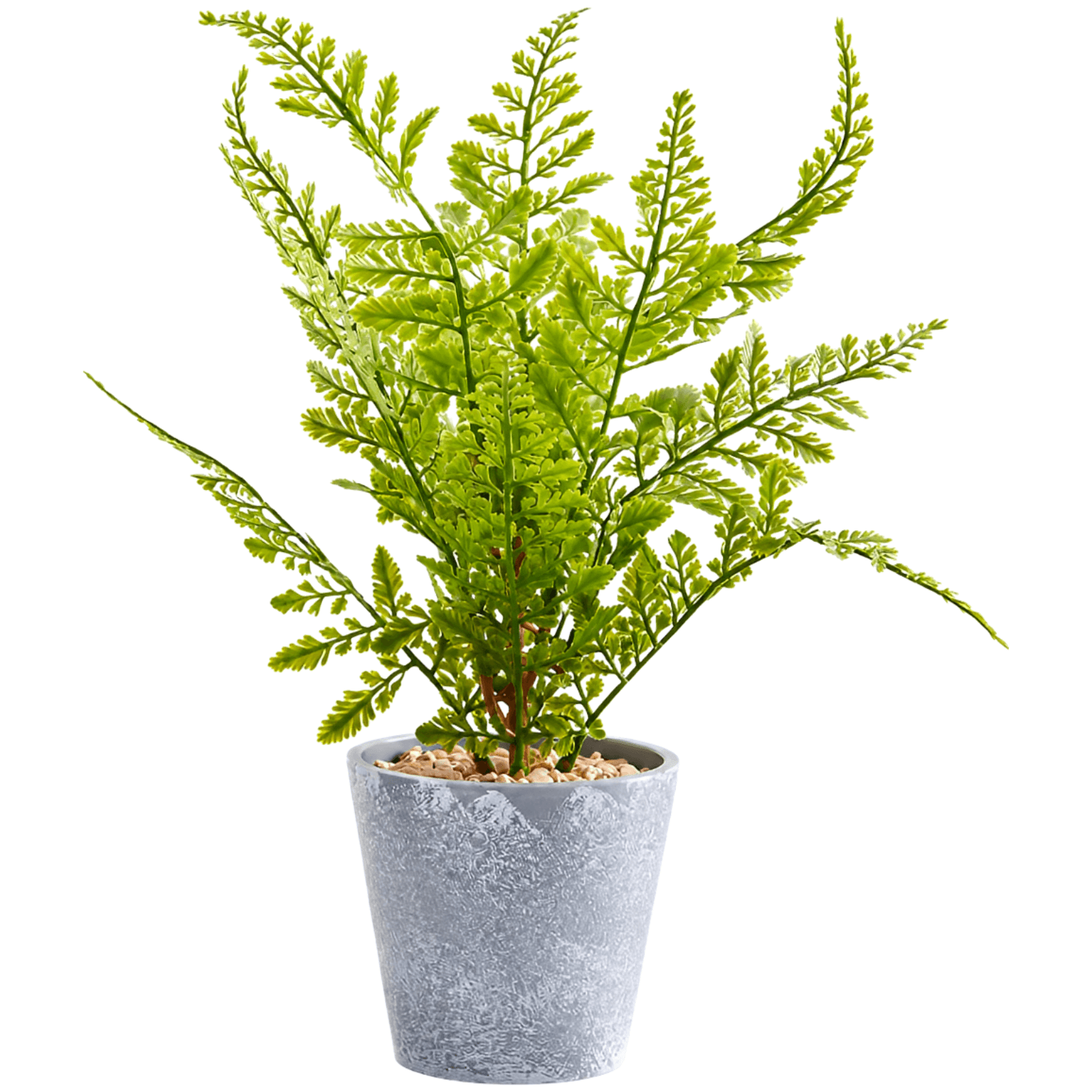 Nordic Faux Fern in Cement Planter