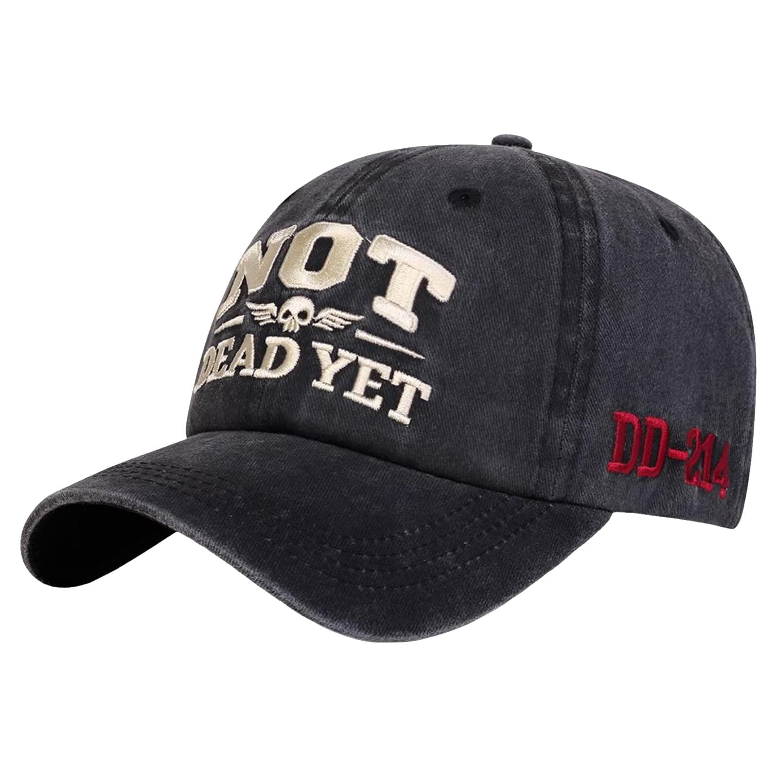 Not Dead Yet Veteran Dad Hat