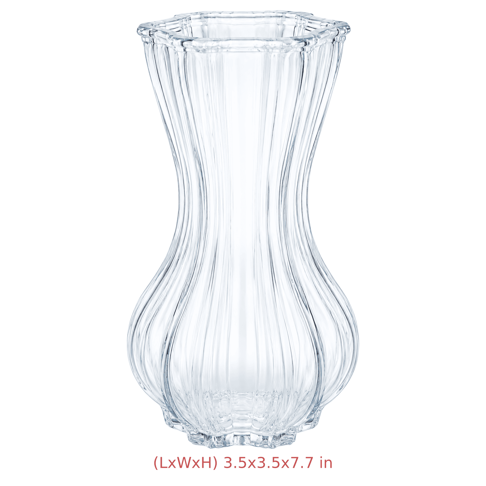 Size Image