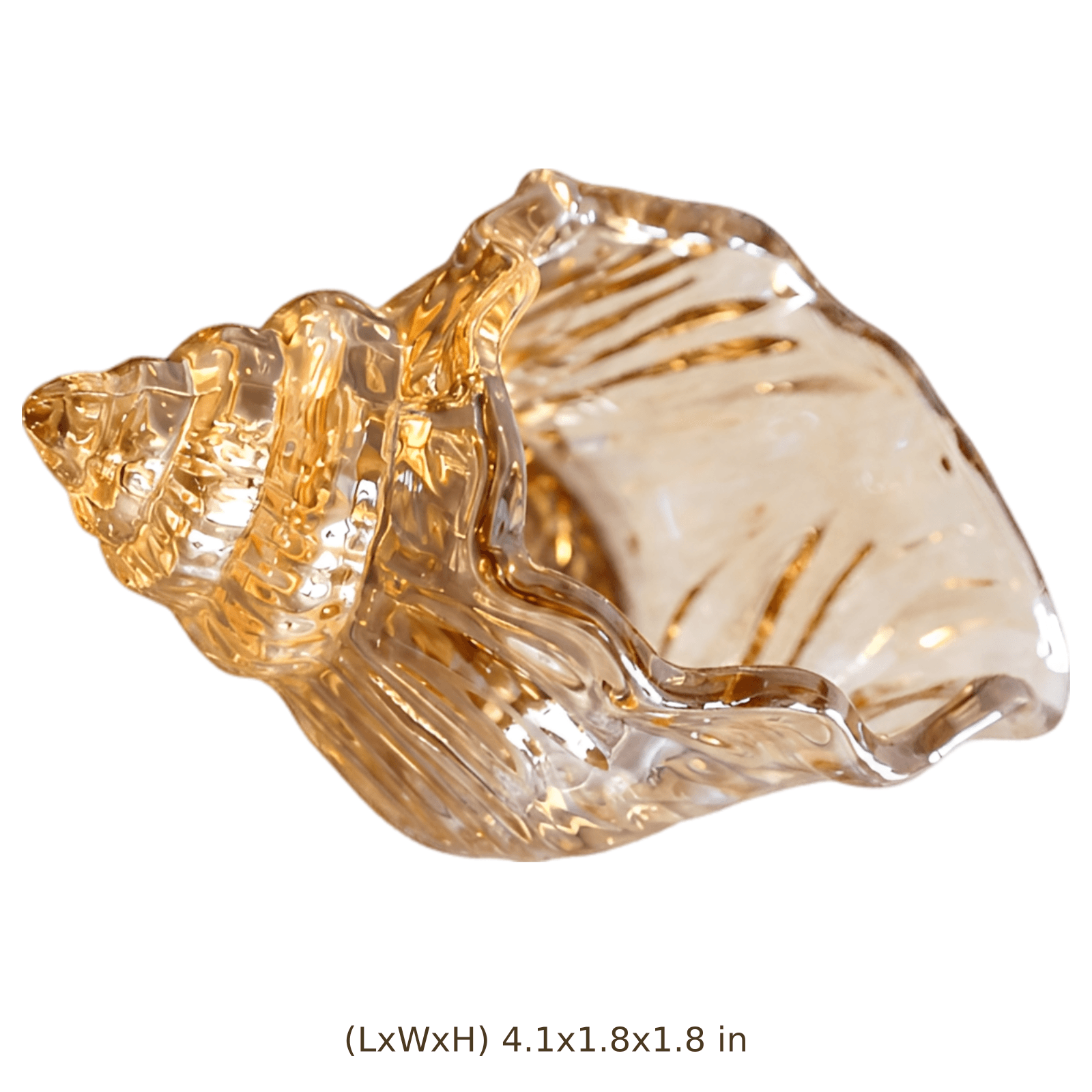Size Image